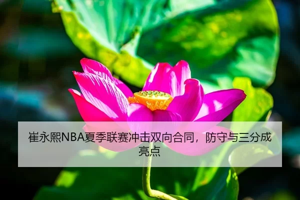 崔永熙NBA夏季联赛冲击双向合同，防守与三分成亮点