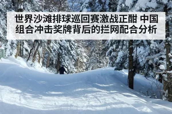 世界沙滩排球巡回赛激战正酣 中国组合冲击奖牌背后的拦网配合分析